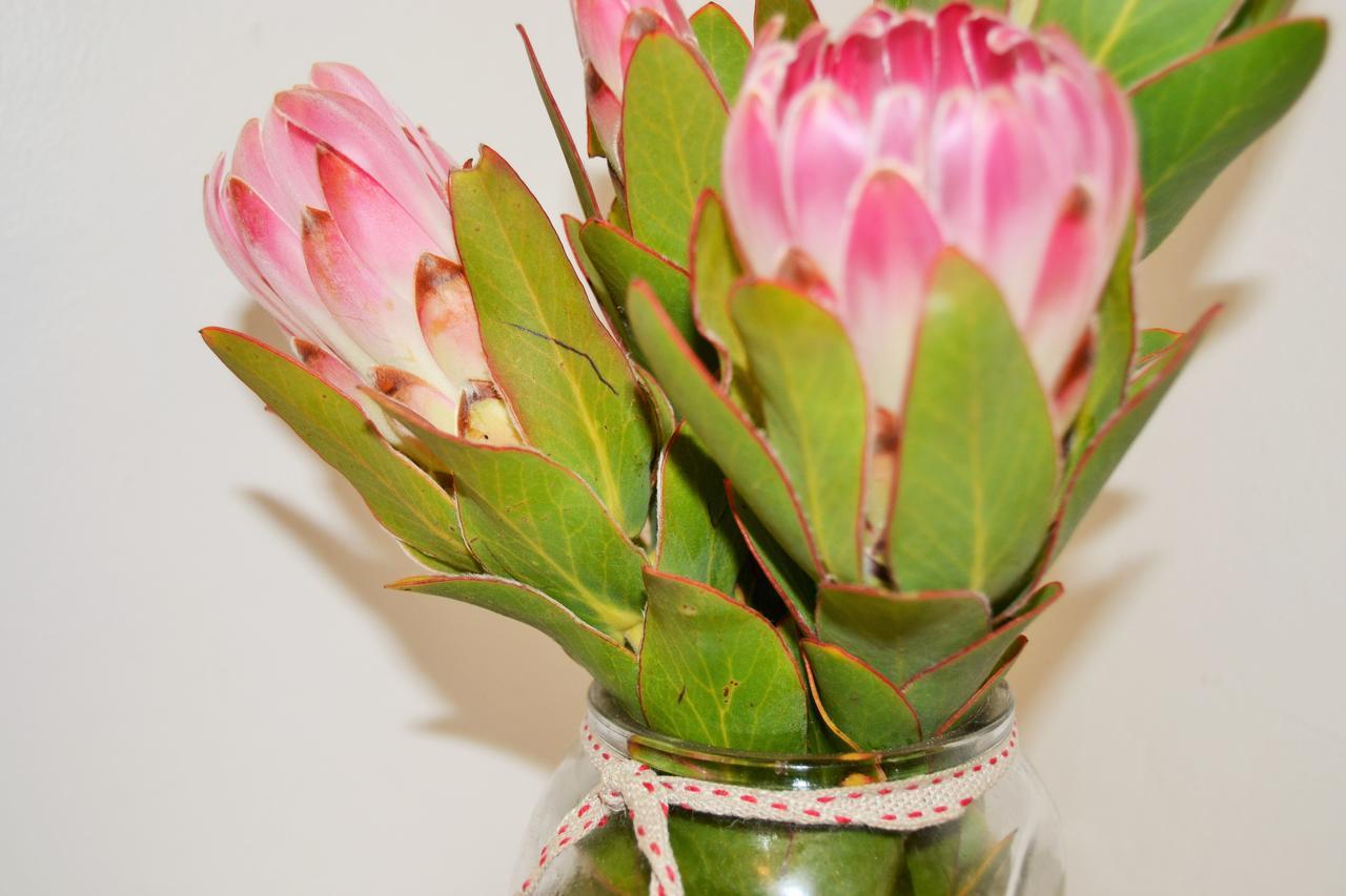 Agulhas Heights Self-Catering Cottages Luaran gambar